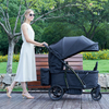 Poussette compacte durable et légère pour bébé au design ultra compact S600